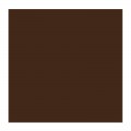Oleo Rembrandt Sepia 40ml