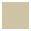 Oleo Rembrandt Plata 40ml