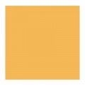 Oleo Rembrandt Oro claro 40ml