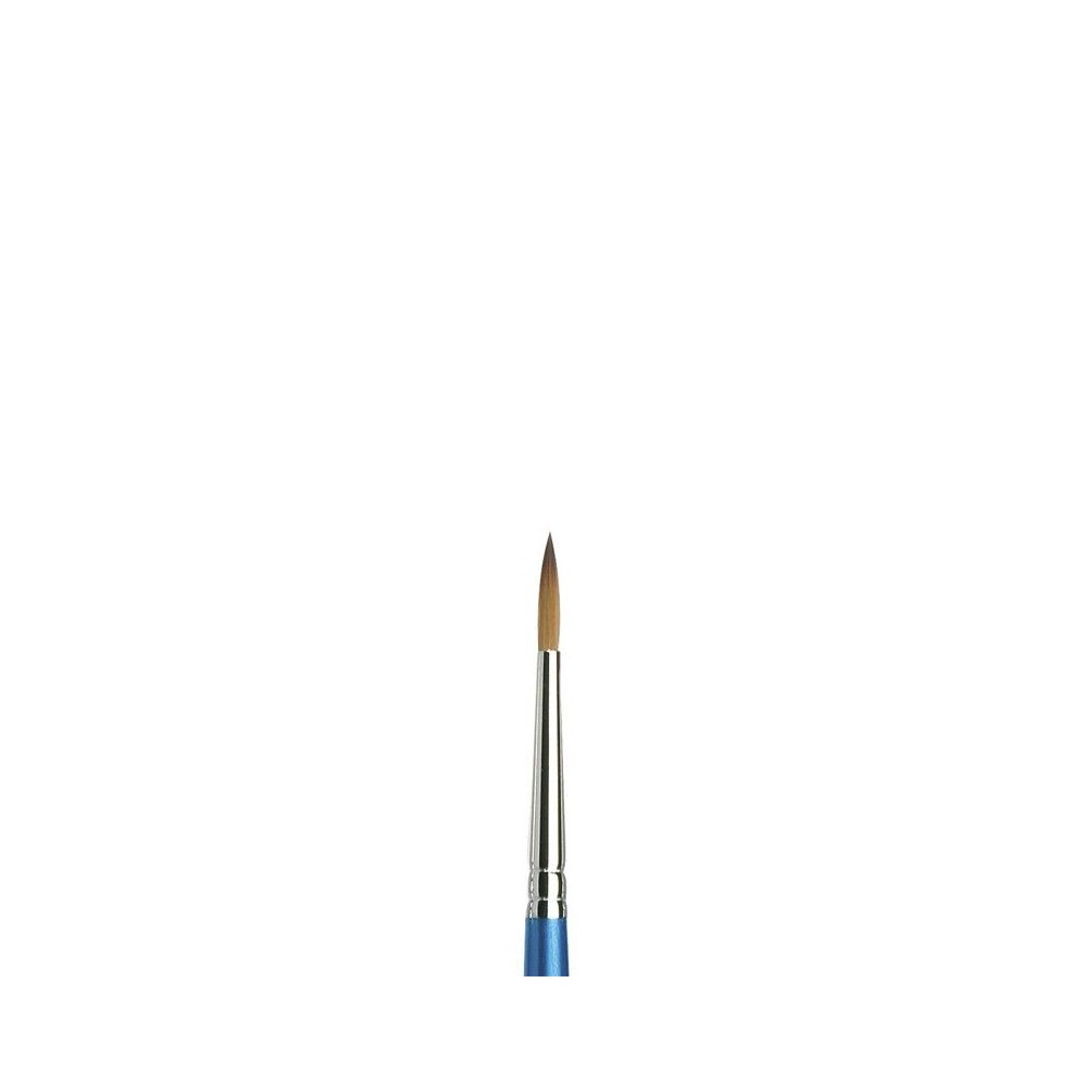 Pincel Cotman W&N Serie 111 Nº1
