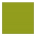 Oleo Rembrandt Verde Cinabrio Claro 40ml
