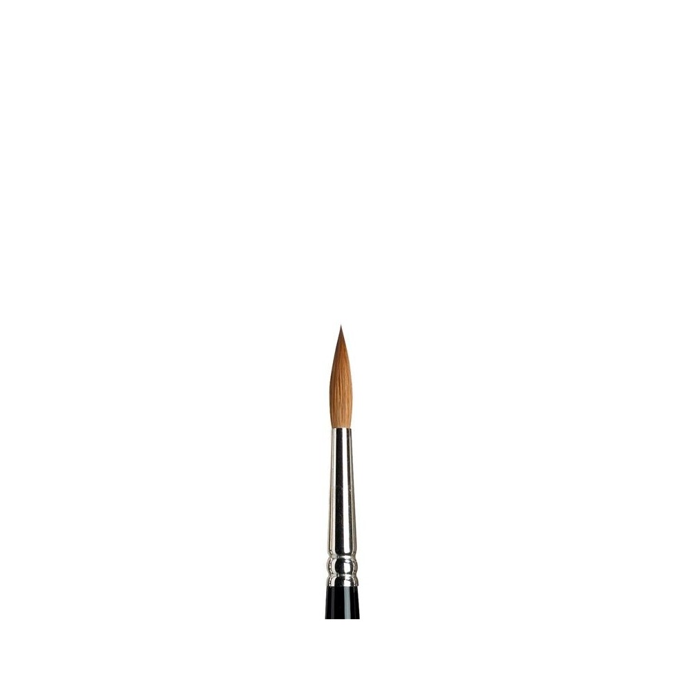 Pincel Serie 7 Winsor&Newton Nº6