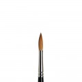 Pincel Serie 7 Winsor&Newton Nº8