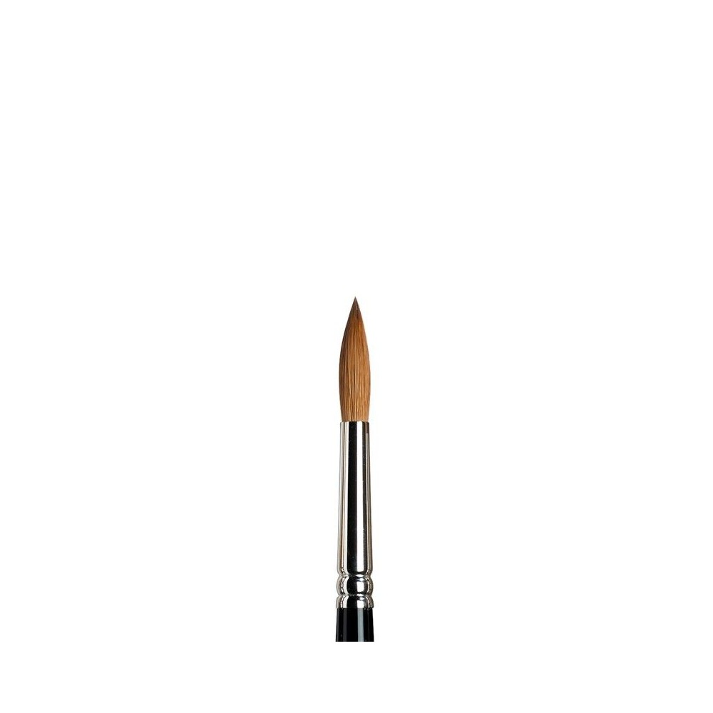 Pincel Serie 7 Winsor&Newton Nº8