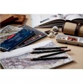 Tinted Charcoal Derwent 24 unidades