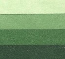 Tinta Weinstock Verde Oscuro