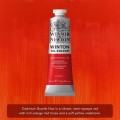 Oleo Winsor&Newton Escarlata de cadmio 37ml