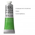 Oleo Winsor&Newton Verde Amarillo Ftalo 37ml