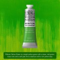 Oleo Winsor&Newton Verde Amarillo Ftalo 37ml