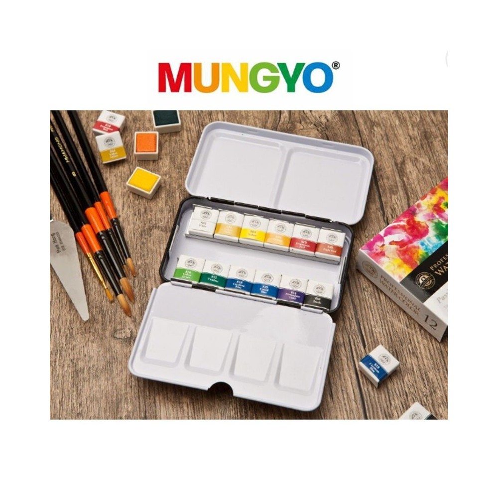 Acuarelas Mungyo pastillas 12 unidades