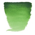 Acuarela Van Gogh Verde Hooker C