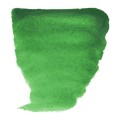 Acuarela Van Gogh Verde permanente