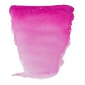 Acuarela en pastilla Van Gogh Rosa