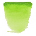 Acuarela en pastilla Van Gogh Verde amar. perm