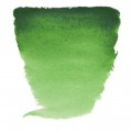 Acuarela en pastilla Van Gogh Verde Hooker C