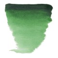Acuarela en pastilla Van Gogh Verde Hooker O