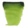 Acuarela en pastilla Van Gogh Verde vejiga