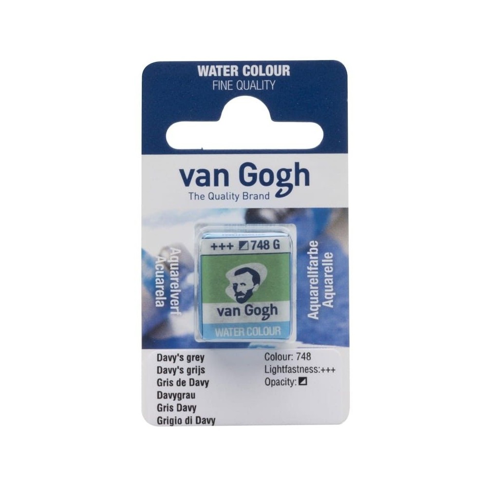Acuarela en pastilla Van Gogh Gris Davy