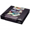 Pasteles Rembrandt Estuche por 90 unidades