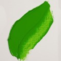 618 Oleo Rembrandt Verde Permanente Claro 40ml S3