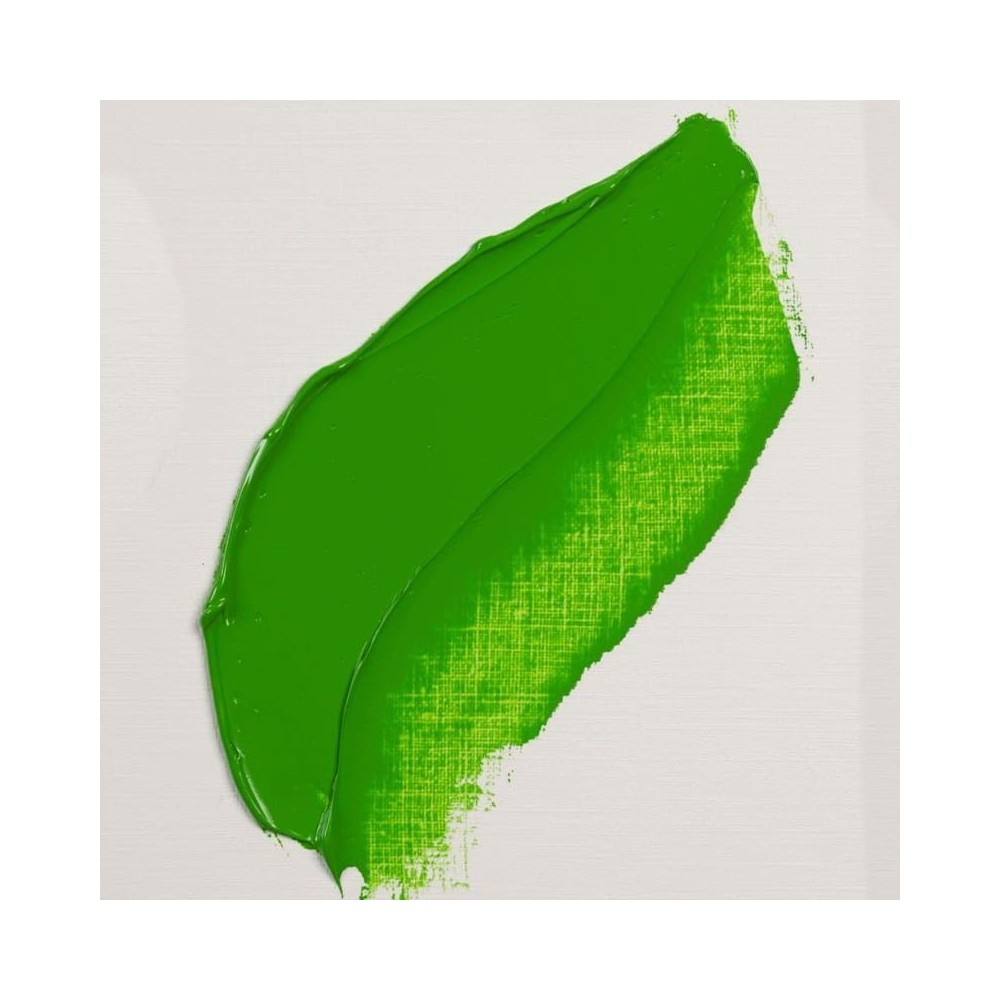 618 Oleo Rembrandt Verde Permanente Claro 40ml S3