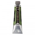 623 Oleo Rembrandt 40ml Verde Vejiga S