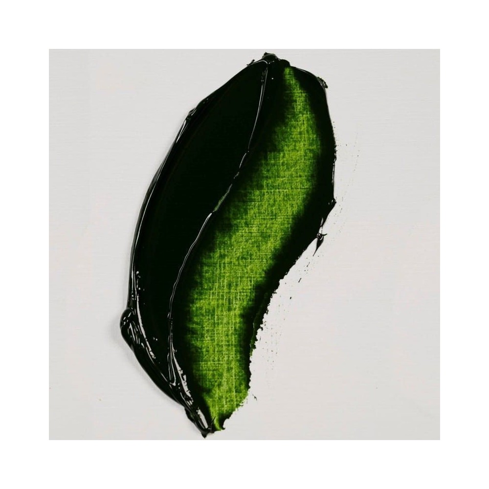 623 Oleo Rembrandt 40ml Verde Vejiga S