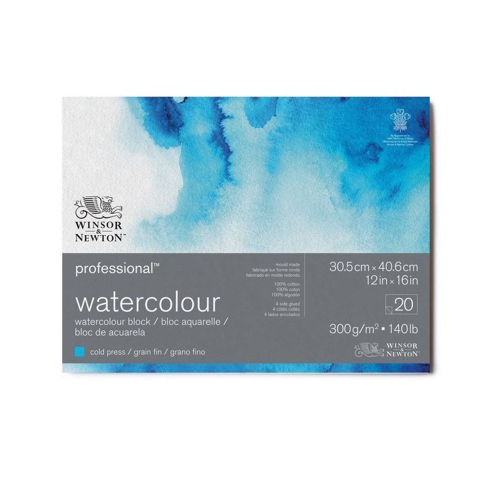 Block W&N Profesional 31x41cm 300grs 100% Algodón