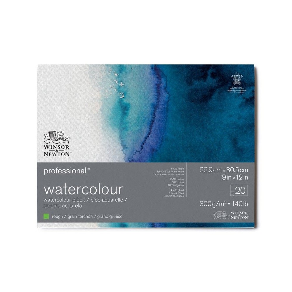 Block W&N Profesional GG 23x31cm 300grs 100% Algodón