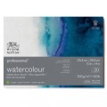 Block W&N Profesional GG 26x36cm 300grs 100% Algodón