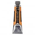 251 Oleo Rembrandt Stil de grain 40ml S3